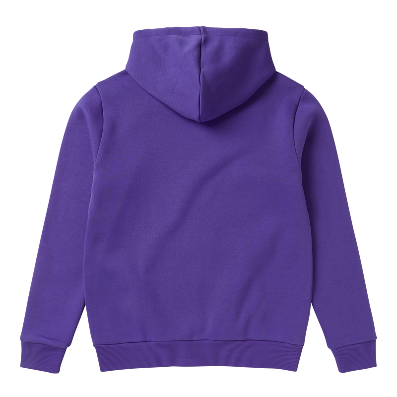 Load image into Gallery viewer, Icon Hood Sweat - Purple - 2024
