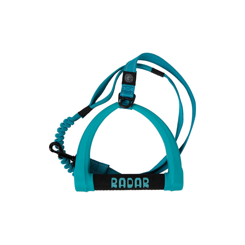 Load image into Gallery viewer, 5 ft. Bungee Dog Leash - Blue - 2027
