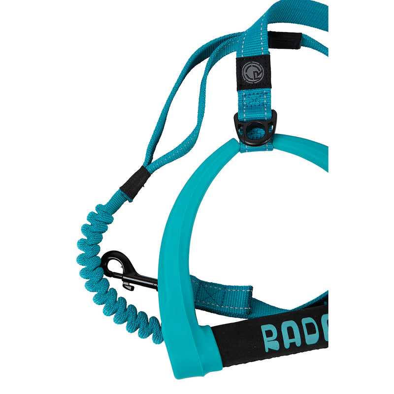 Load image into Gallery viewer, 5 ft. Bungee Dog Leash - Blue - 2025
